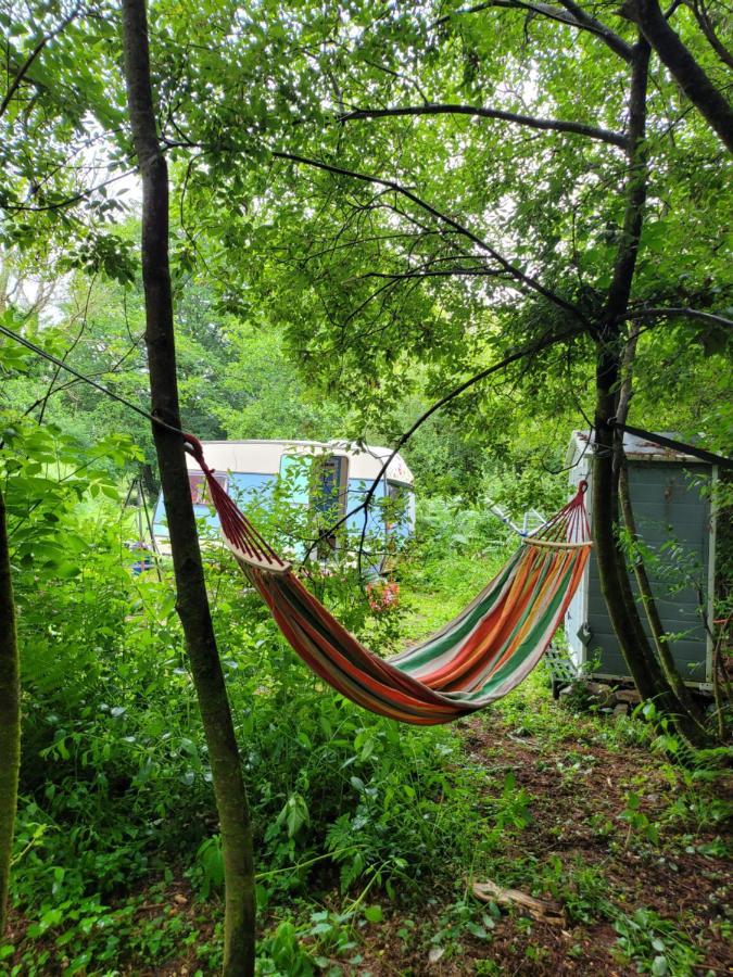 Quirky Eco Stay, Bedding Not Supplied, Peaceful & Private For 2 In Dble Bed Narberth Exterior photo